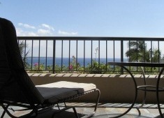 BIGISLAND mini.jpg